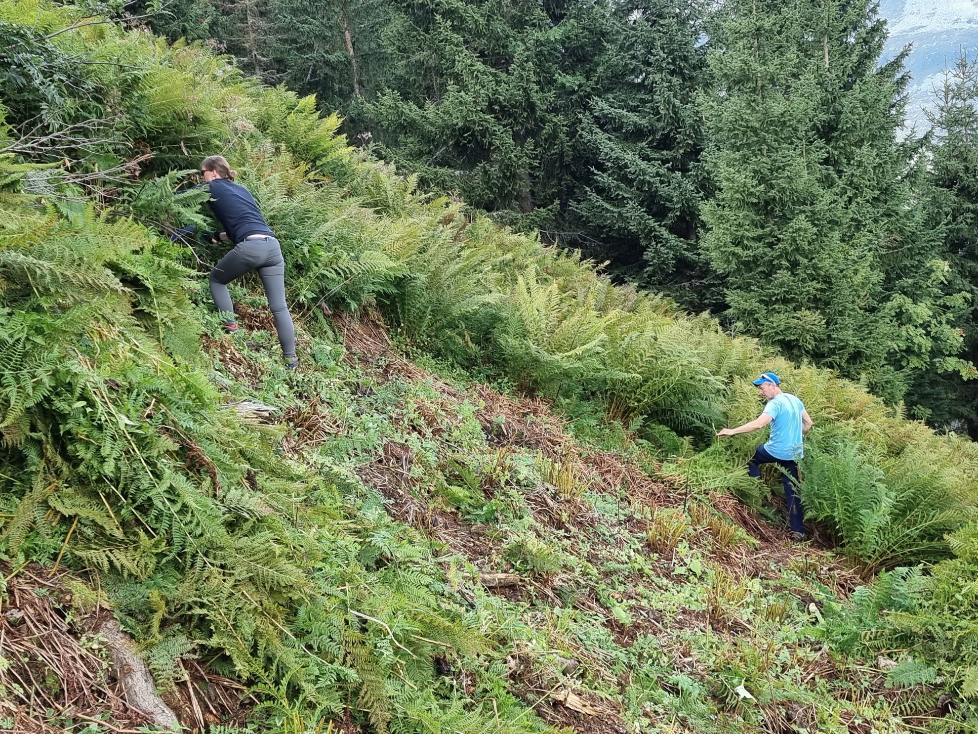 2022-08-27 15.57.29 Kopie.jpg